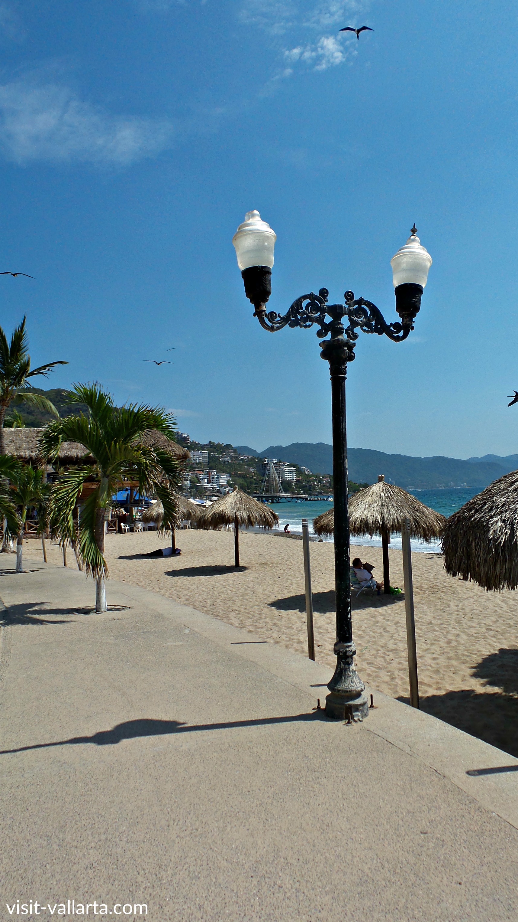 Playa Los Muertos Puerto Vallarta Lights Puerto Vallarta